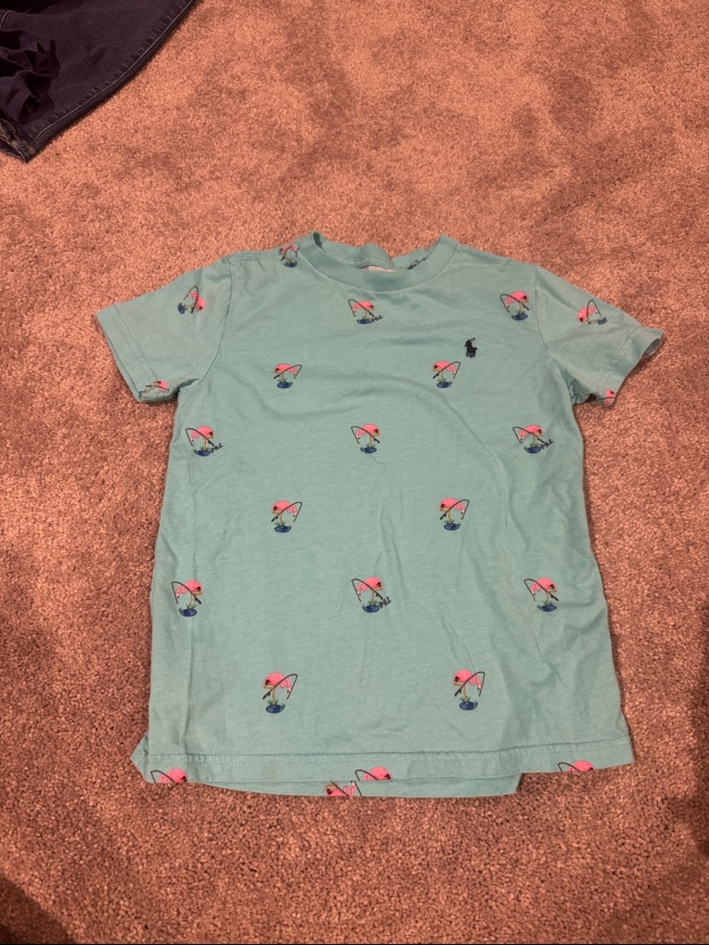 Polo by Ralph Lauren Teal Short Sleeve Tee with Pink & Navy Umbrella Print